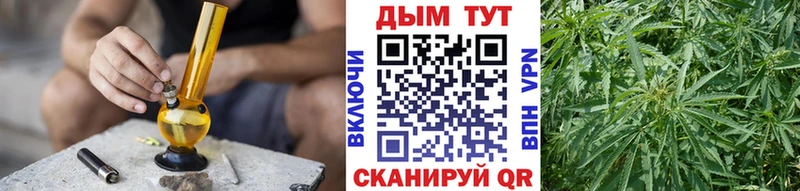 сколько стоит  Салават  Шишки марихуана Bruce Banner 